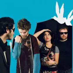 Guillemots