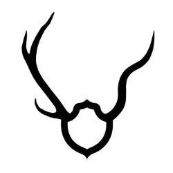 Hornschaft