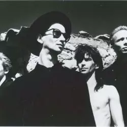 Immaculate Fools