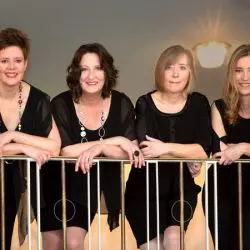 Indigo Streichquartett
