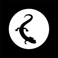 Lizard Pool