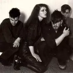 The March Violets