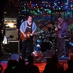 The Radiators