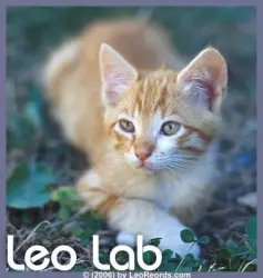 Leo Lab