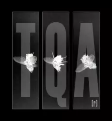 thisquietarmy Records