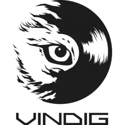 Vinyl Digital | 32 alb | GROOVESPIN.PL