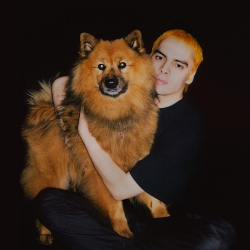 Sega Bodega