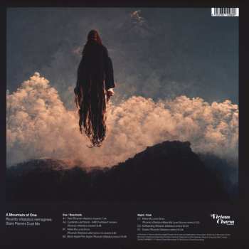 2LP A Mountain Of One: Ricardo Villalobos Reimagines: Stars Planets Dust Me