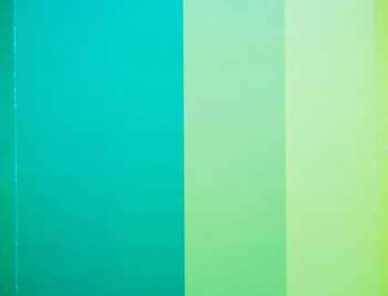 CD Ádámosi Banda: Sövényfalvi Lakodalom 1980-Ban = Wedding At Sövényfalva In 1980