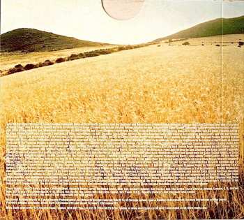 CD Add N To (X): Loud Like Nature