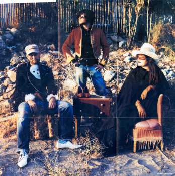 CD Add N To (X): Loud Like Nature