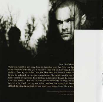 CD AFI: Decemberunderground