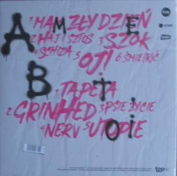 LP Agnieszka Chylińska: Pink Punk