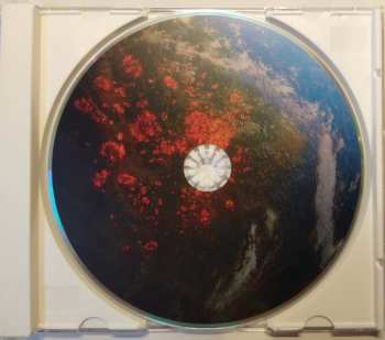 CD Akne Kid Joe: Die Große Palmöllüge