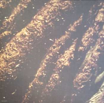 LP Alborosie: Soul Pirate