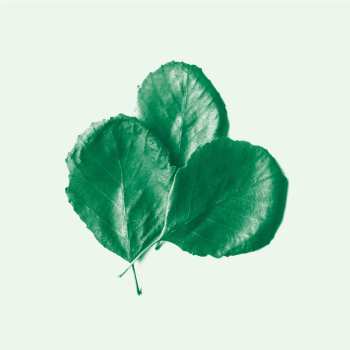 Album Alder Ego: II