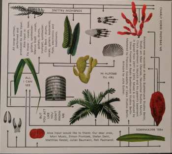 CD Aloa Input: Anysome