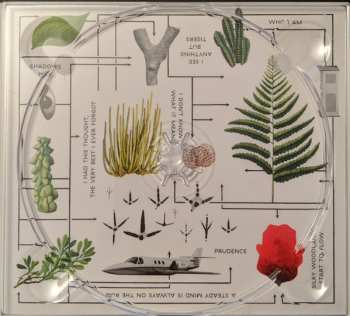 CD Aloa Input: Anysome