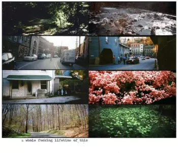 A Whole Fucking Lifetime Of This