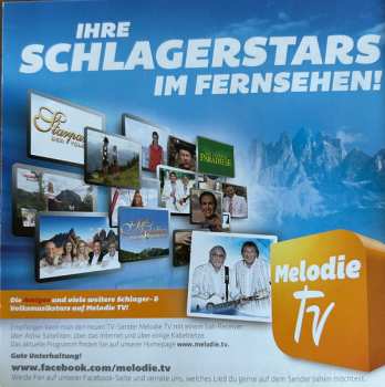 CD Amigos: Grosse Erfolge Instrumental