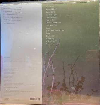 LP Amor De Días: Street Of The Love Of Days