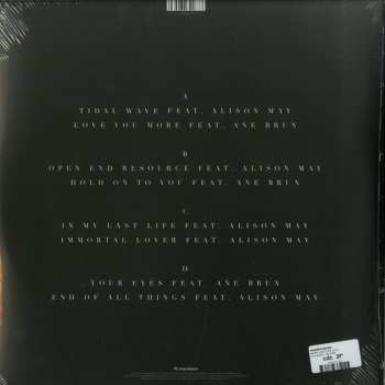 2LP Andrew Bayer: In My Last Life