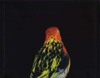 CD Andrew Bird: Armchair Apocrypha