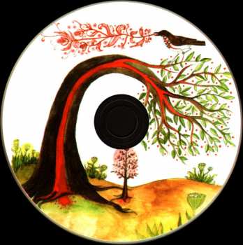 CD Andrew Bird: Fitz And The Dizzyspells