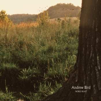 CD Andrew Bird: Noble Beast