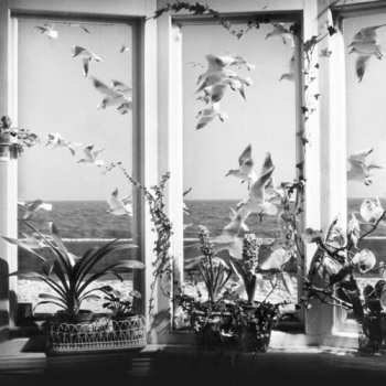 Album Andy Stott: Never The Right Time