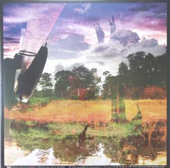 LP Animal Collective: Meeting Of The Waters LTD