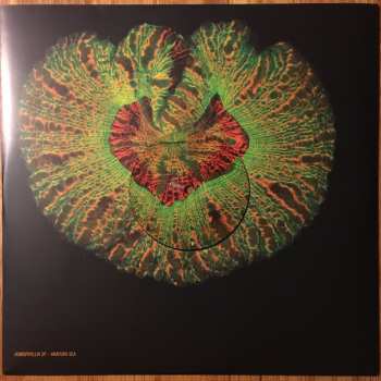 2LP Animal Collective: Tangerine Reef LTD | CLR