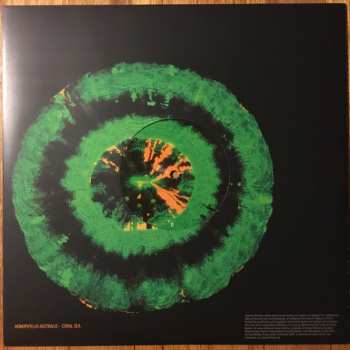 2LP Animal Collective: Tangerine Reef LTD | CLR