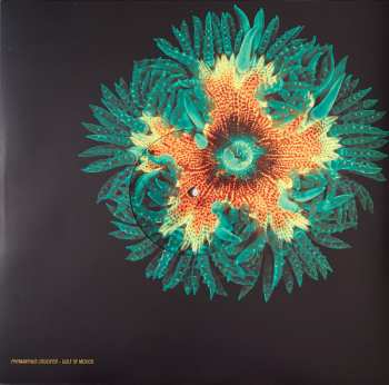 2LP Animal Collective: Tangerine Reef
