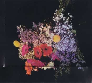 CD Ann Can't Talk: Keine Liebe