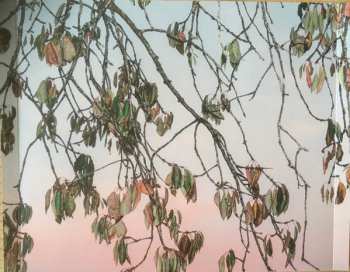 CD Anouk: Trails Of Fails