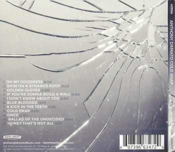 CD Anthony D'Amato: Cold Snap