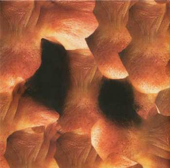 CD Aphex Twin: Richard D. James Album