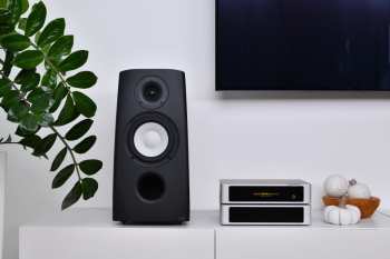 Technologia audio Aq Canto 3 Černý Jasan