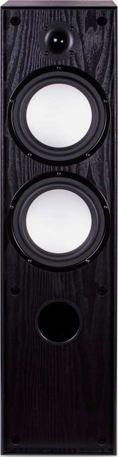Technologia audio AQ Tango 98 - Sloupová reprosoustava Černá