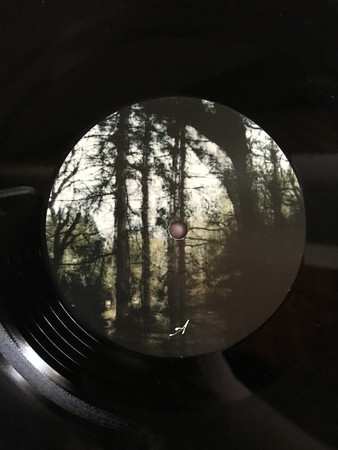 LP Aquilus: Arbor