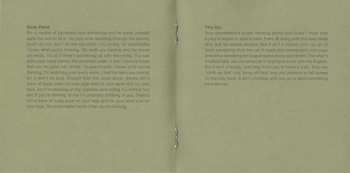 CD Arctic Monkeys: The Car