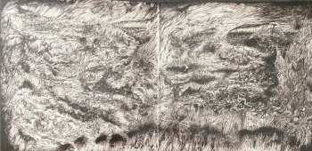 LP Ascended Dead: Evenfall Of The Apocalypse CLR