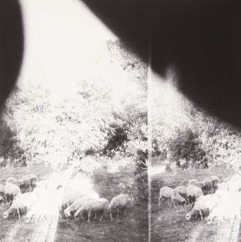 Album Godspeed You! Black Emperor: 'Asunder, Sweet and Other Distress'