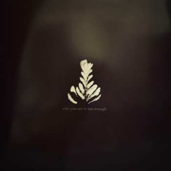 LP Athletics: Who You Are Is Not Enough