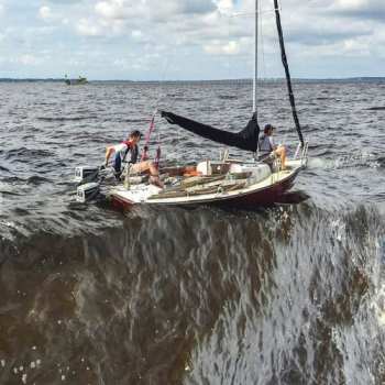 Album Avatism: Bad Summer