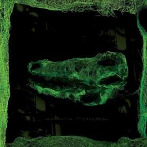 Album Avey Tare: Down There