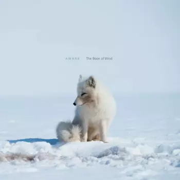 Aware: The Book Of Wind