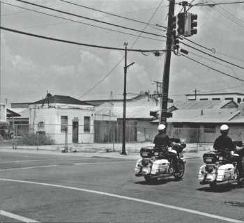 CD Axelle Red: Rouge Ardent