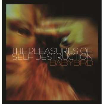 Album Babybird: The Pleasures Of Self Destruction